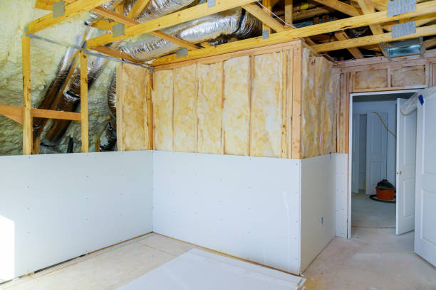 Types of Insulation We Offer in Winter Park, FL