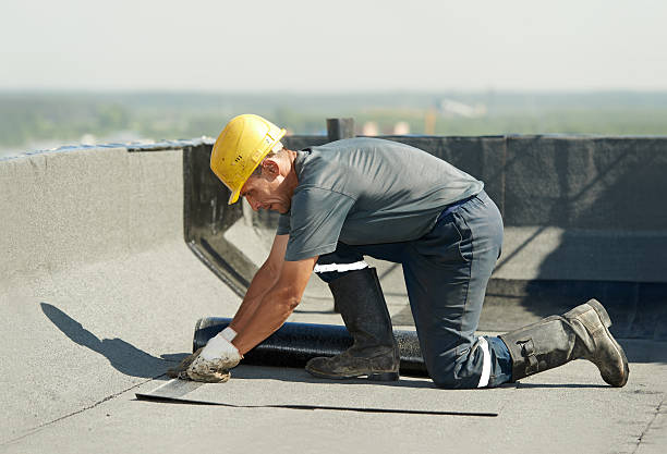 Best Residential Insulation in Winter Park, FL